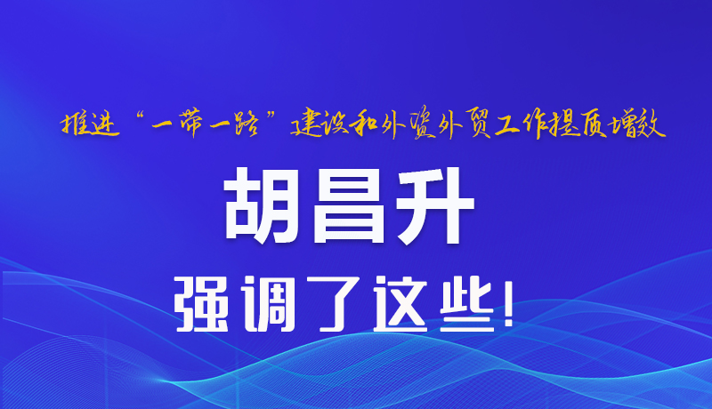 圖解|推進“一帶一路”建設和外資外貿(mào)工作提質增效 胡昌升強調了這些 