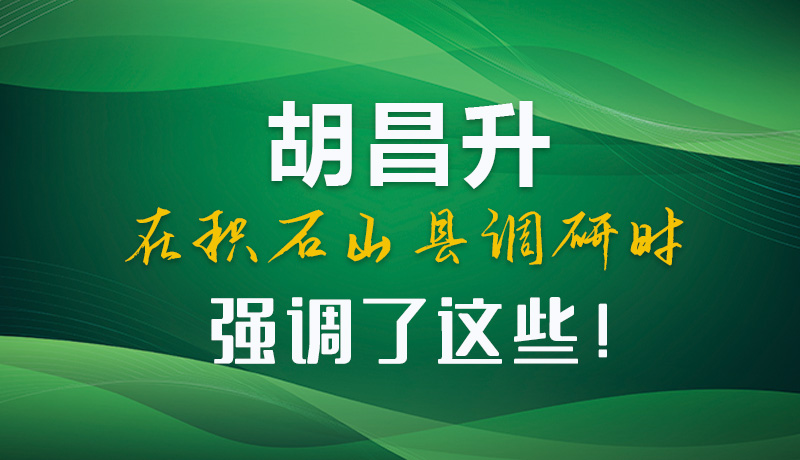 圖解|胡昌升在積石山縣調研時強調了這些！