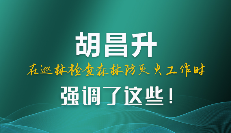 圖解|胡昌升在巡林檢查森林防滅火工作時(shí)強(qiáng)調(diào)了這些！