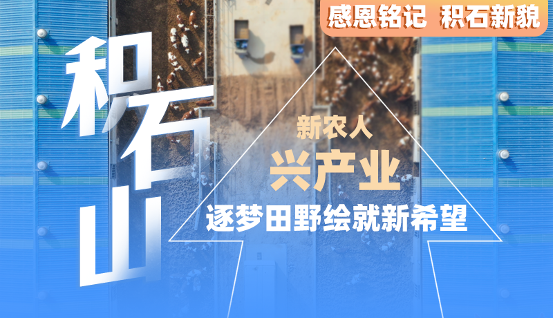 感恩銘記 積石新貌|積石山：新農人 興產業(yè) 逐夢田野繪就新希望